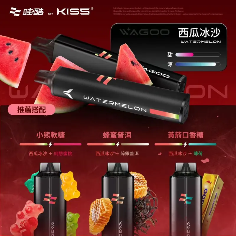 WAGOO 哇酷 6500 口拋棄式電子煙 產品圖